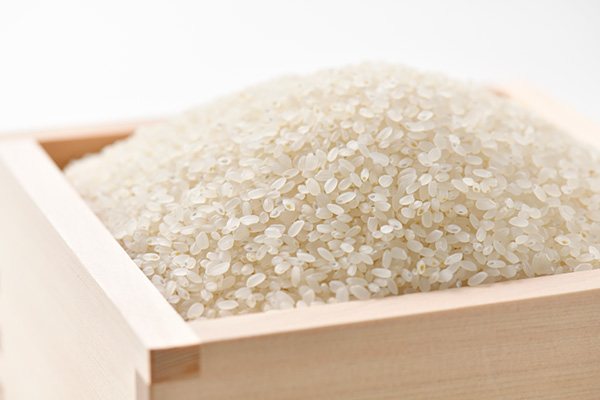 棚田米「能登の百姓」